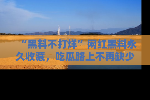 “黑料不打烊”网红黑料永久收藏，吃瓜路上不再缺少惊喜与乐趣