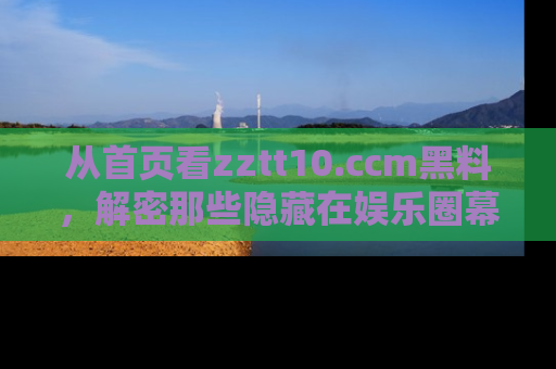 从首页看zztt10.ccm黑料，解密那些隐藏在娱乐圈幕后的丑闻故事！