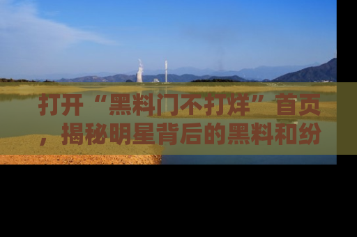 打开“黑料门不打烊”首页，揭秘明星背后的黑料和纷争真相！