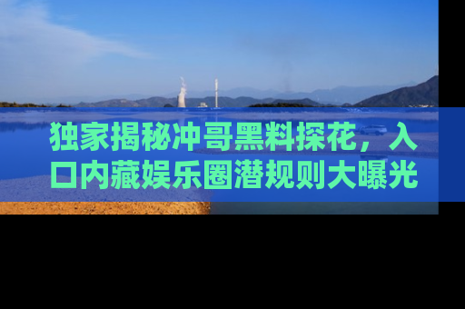 独家揭秘冲哥黑料探花，入口内藏娱乐圈潜规则大曝光