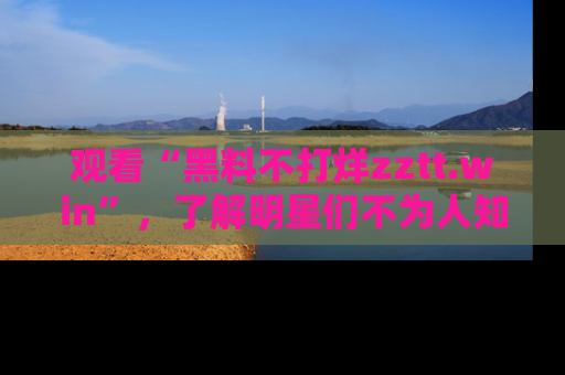 观看“黑料不打烊zztt.win”，了解明星们不为人知的黑料内幕