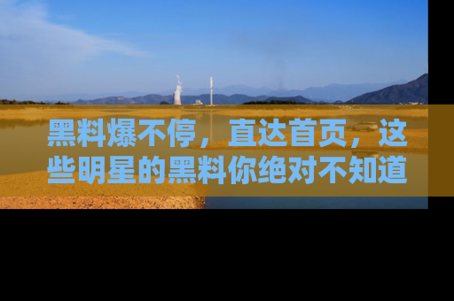 黑料爆不停，直达首页，这些明星的黑料你绝对不知道！