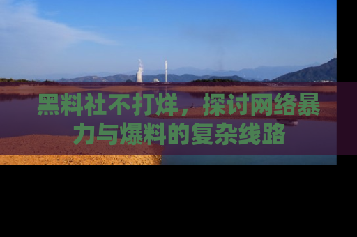 黑料社不打烊，探讨网络暴力与爆料的复杂线路