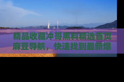 精品收藏冲哥黑料精选首页麻豆导航，快速找到最新爆料