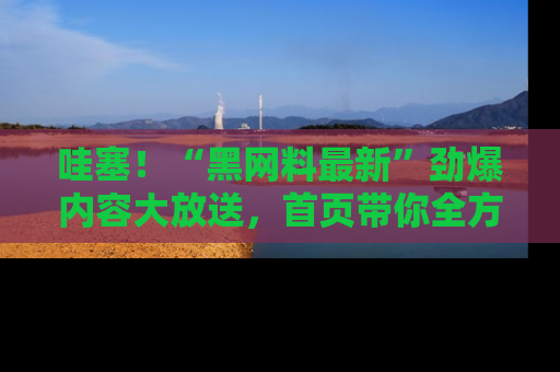 哇塞！“黑网料最新”劲爆内容大放送，首页带你全方位了解哦，小可爱们