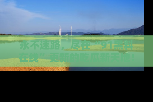 永不迷路,尽在“91黑料在线”更新的吃瓜新天地!