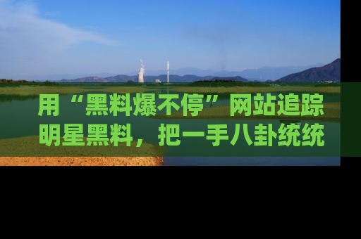 用“黑料爆不停”网站追踪明星黑料,把一手八卦统统收进你的后宫中!