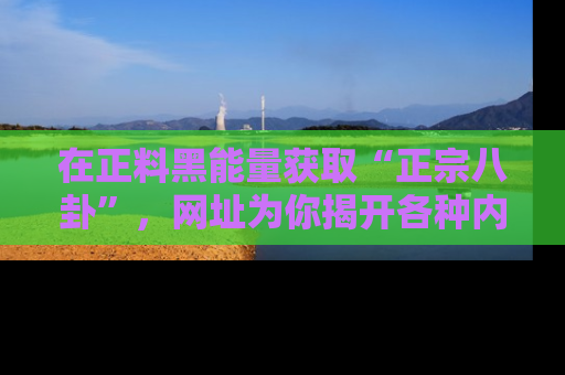 在正料黑能量获取“正宗八卦”,网址为你揭开各种内幕故事!